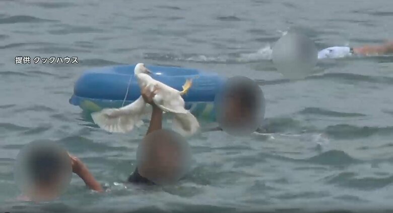 提供：クックハウス