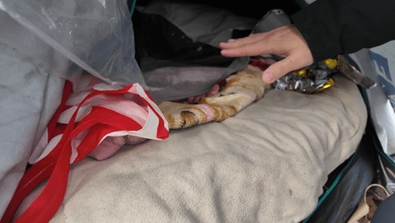 幾重にも薄い毛布を重ね　寒さを耐え忍ぶ