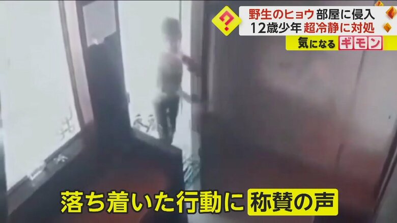 その後ヒョウは捕獲され、森に返されたという