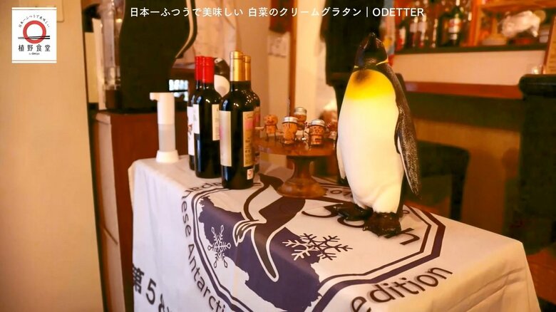 店内に飾られている南極の思い出