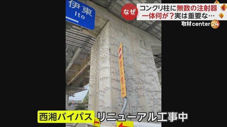 神奈川・西湘バイパスの高架下で15日に撮影された写真