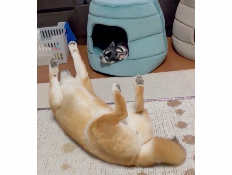 提供：うにさん