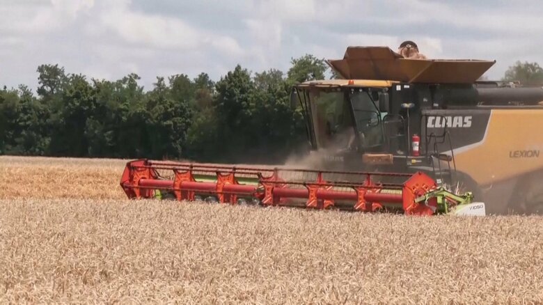 刈り入れが進むウクライナの小麦畑（2022年7月22日撮影）