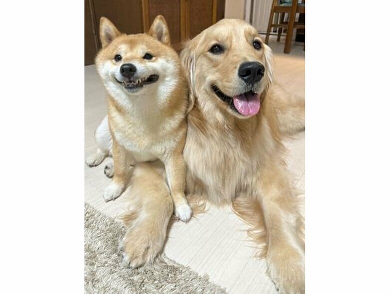 左：うにくん　右：おからちゃん（提供：うにandおからさん）