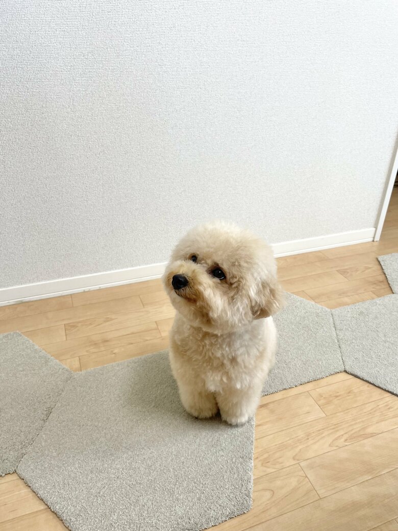 丸めのフォルム