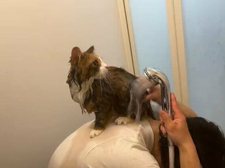 旦那さんの背中の上でキョロキョロするがおとなしい