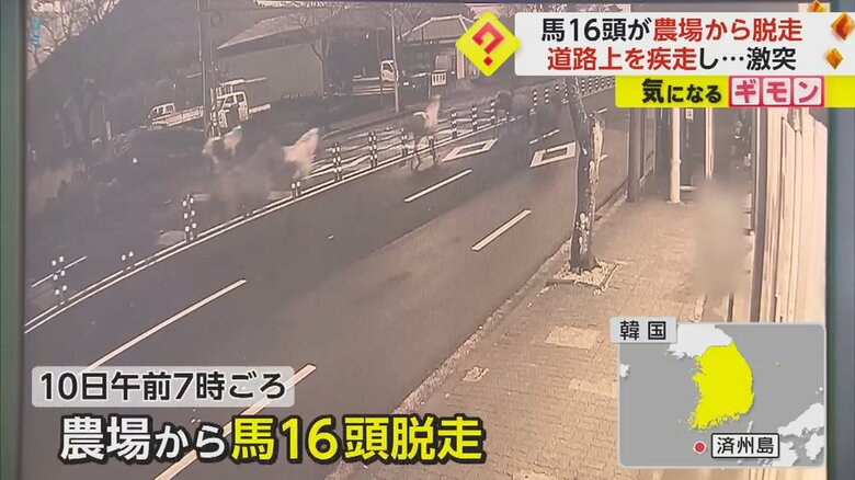 監視カメラの映像