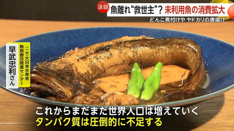 「タンパク質は圧倒的に不足する」とコメントした（一社）大日本水産会　魚食普及推進センター・早武忠利さん