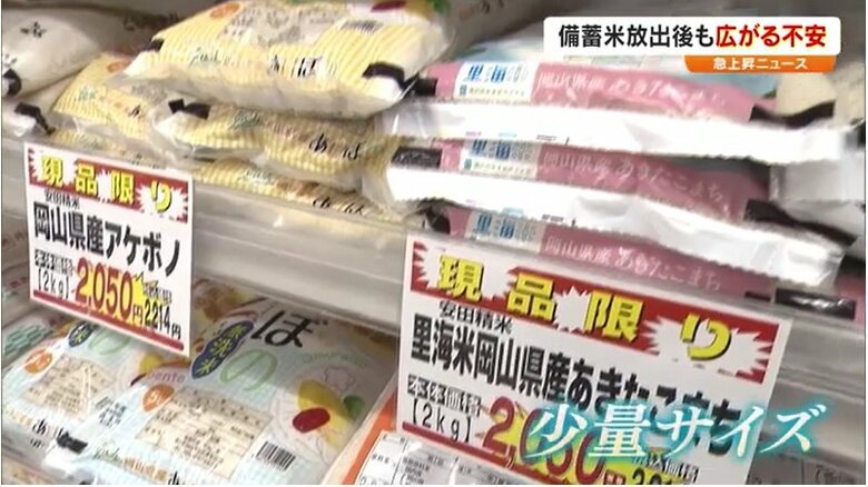 こちらも人気「少量サイズ」