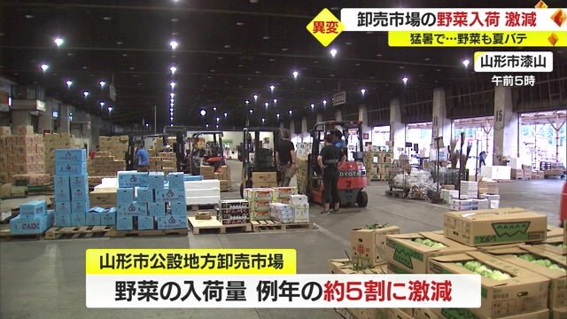 野菜の入荷量が激減