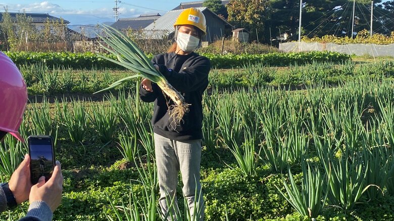 野菜の収穫体験も開いている