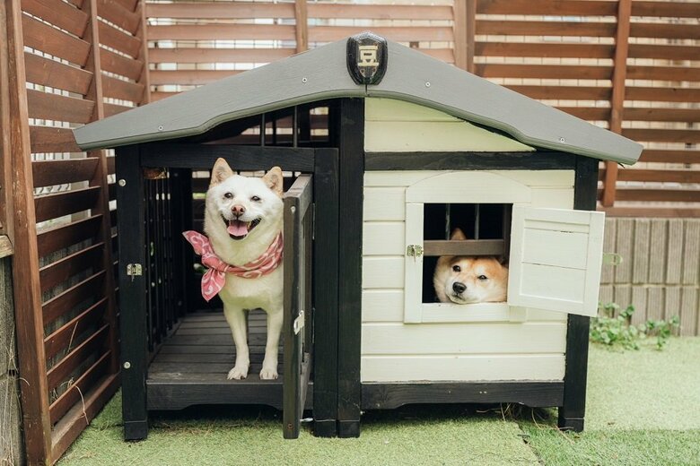 我が家へようこそ！