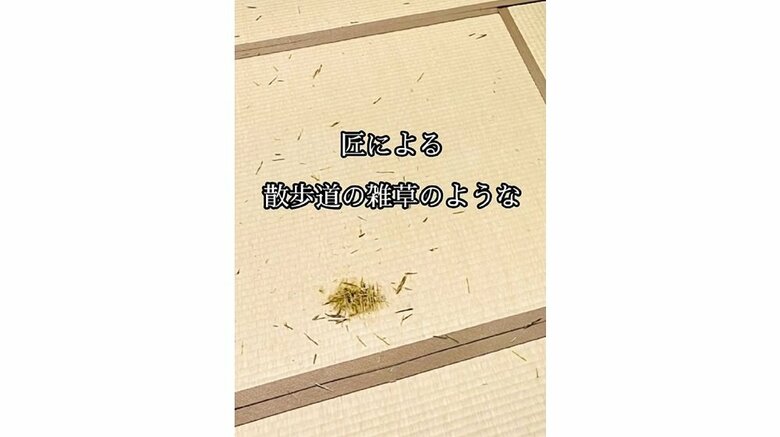 畳部屋に作られた匠の作品　散歩道の雑草のようなデザイン