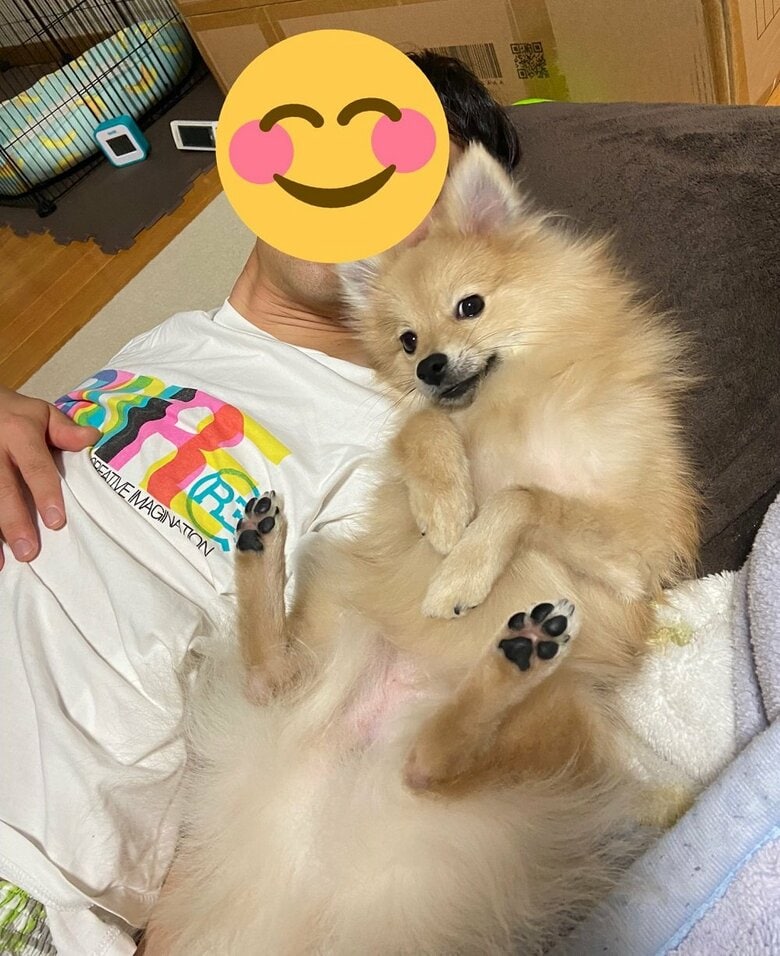 日頃からよくくっついているそう