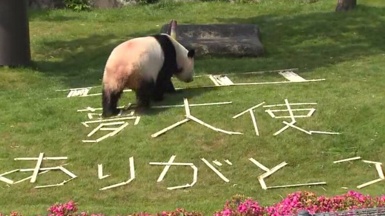 「夢大使ありがとう」