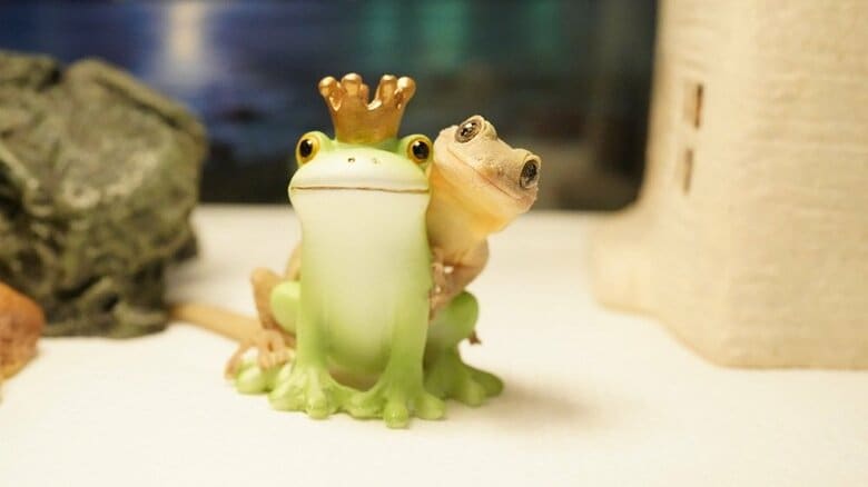 王冠カエルとポーズ。するめちゃん