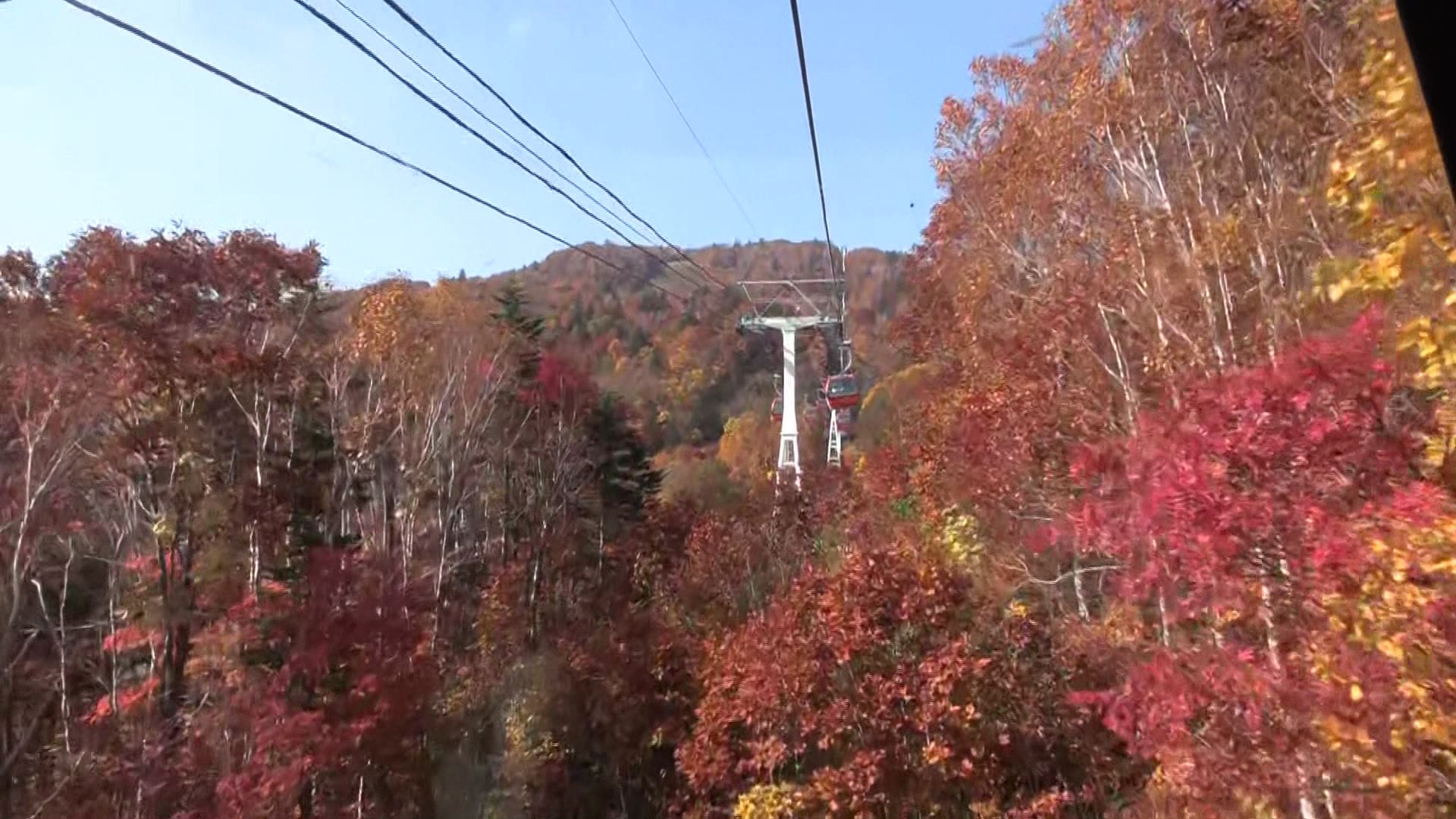 【見ごろ】赤や黄色の紅葉“鮮やかな秋景色”観光客酔いしれる~豊平峡ダムは例年より1週間ほど早くピークに…大きな寒暖差で色づき進む~札幌国際スキー場の「紅葉ゴンドラ」も人気〈北海道札幌市〉