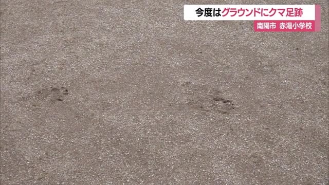 今度はグラウンドにクマの足跡点々と…体当たりして玄関のガラス割られた赤湯小学校でまた 山形・南陽市