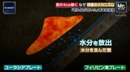 トカラ列島“群発地震”で4cm動いた「宝島」を現地取材　専門家がメカニズムを解説「海底付近に割れ目が開いた」「M7クラスが起きる可能性も」