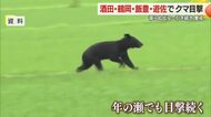 冬眠するはずの12月に…減らぬクマ出没　酒田・遊佐・鶴岡・飯豊で目撃　引き続き警戒を　山形
