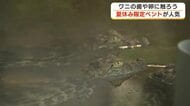ワニの卵に触れたり大きな蓮の葉に乗ったり　熱川バナナワニ園の夏休みイベントで大人も子供も笑顔に