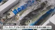 「県民の皆さんにおいしい魚を」中央卸売市場で初競り　日向灘捕れのブリ、サバ、アジなど並ぶ