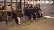 セブンイレブン　学校の休み期間の牛乳利用した新商品
