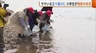 漁獲量減少する中…小学生が“サケの稚魚”約1万匹を放流「4年後元気に戻ってきて」新潟・三条市
