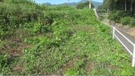 現場にはジャッキが… 73歳の男性が農道の脇で無人の軽トラにひかれ死亡 動き出した車にひかれた可能性も