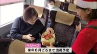 JR大分駅で県産ブランドイチゴ“ベリーツ”を無料配布「すごく甘い」特急列車の車内でもPR