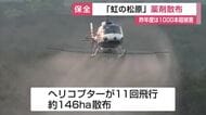「虹の松原」を害虫から守るため上空から薬剤散布　昨年度は1000本超の被害木【佐賀県】