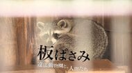”違法動物園”を通して行政と地域開発の問題を描く…UHB制作『板ばさみ 違法動物園と、人間たち』がギャラクシー賞の月間賞を受賞「メディアが違法状態に気づかず好意的に取り上げてきたことも自省」＜北海道＞