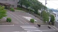 防犯カメラには人を襲う姿も　クマに襲われ4人がケガ　福島駅から約3キロ　夜間の緊急銃猟も検討