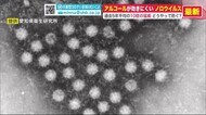コロナ禍で定着した消毒…でもアルコールが効きにくいウイルスが猛威 その対策とは?