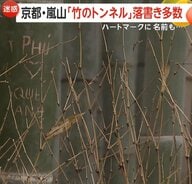 【迷惑】京都嵐山の名所・竹林の小径に落書き急増…ハートマークや名前など300本以上　専門家「傷つくと再生せず倒れることも」