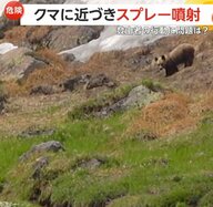 「おいおいおいおい！」登山者自らクマに近づき撃退スプレー噴射！距離はわずか20メートルの危険行為…環境省「決して近づかないで」　北海道