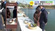 高級魚さばくライブ”見ながらリアル”に質問も…新たなネット販売「ライブコマース」が開く活路【愛媛発】