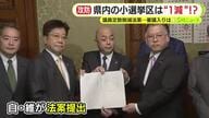 静岡はどう変わる？　衆議院の議員定数削減法案　静岡は2区と3区が1つに？　専門家がシミュレーション