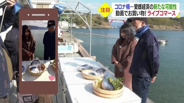 高級魚さばく