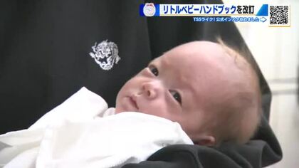 4児mamaページ トリックスター / Ninja ZX-4RR / ZX-4R SE(24-26) 政府認証スリップ