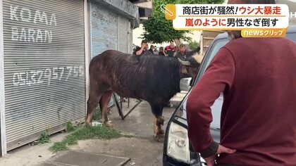 「倒したぞ！」商店街で牛が大暴走…男性に突進タックルで騒然　住宅街では嵐で屋根“吹っ飛び”危うく衝突も　トルコ