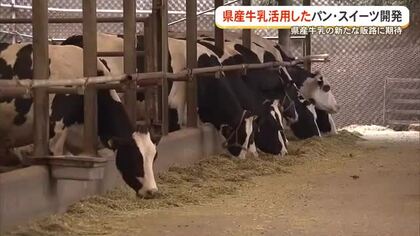 セブンイレブン　学校の休み期間の牛乳利用した新商品