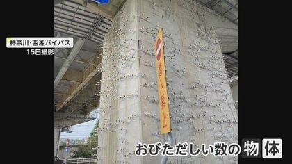 【謎】コンクリート柱に刺さった無数の注射器　怪しげでも…実は重要な工法だった　神奈川・西湘バイパス　