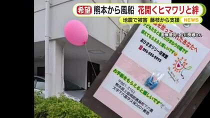 「まさかまさか静岡まで」 熊本から飛ばしたヒマワリの種を乗せた風船　藤枝市にたどり着き花と絆が花開く　熊本地震で被害受けた保育園を静岡県藤枝市から支援　お互いの心の支えに