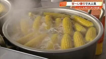 高知の初夏を告げる「きび街道」朝採れ熱々の“甘～い”トウモロコシ求め、県外からも行列が