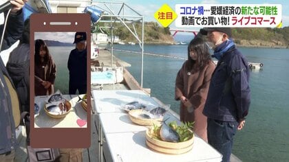 高級魚さばくライブ”見ながらリアル”に質問も…新たなネット販売「ライブコマース」が開く活路【愛媛発】