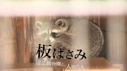”違法動物園”を通して行政と地域開発の問題を描く…UHB制作『板ばさみ 違法動物園と、人間たち』がギャラクシー賞の月間賞を受賞「メディアが違法状態に気づかず好意的に取り上げてきたことも自省」＜北海道＞