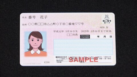 マイナンバーカード保有数1億枚を突破　保有率80.3％も50歳未満では70％台