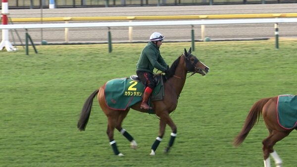 ジャパンカップ・GⅠ】世界ランキング1位のヨーロッパ王者カランダガン