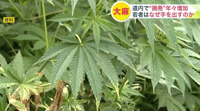 資料